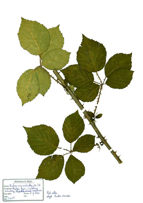 Bild1