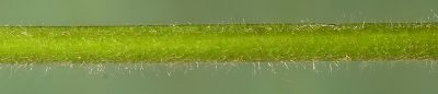 Bild16