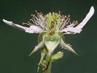 Bild24