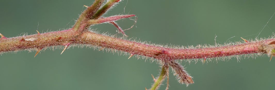 Bild3