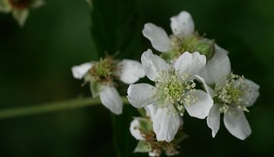 Bild12
