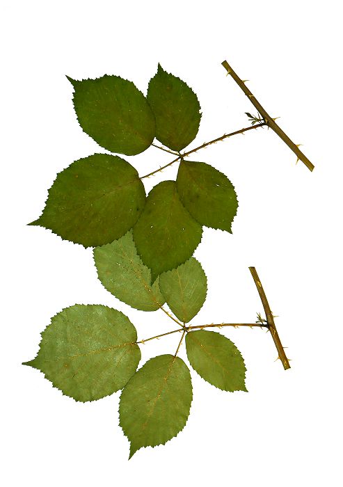 Bild3