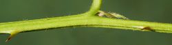 Bild2