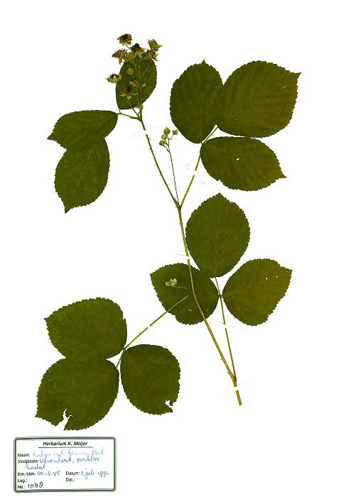 Bild3