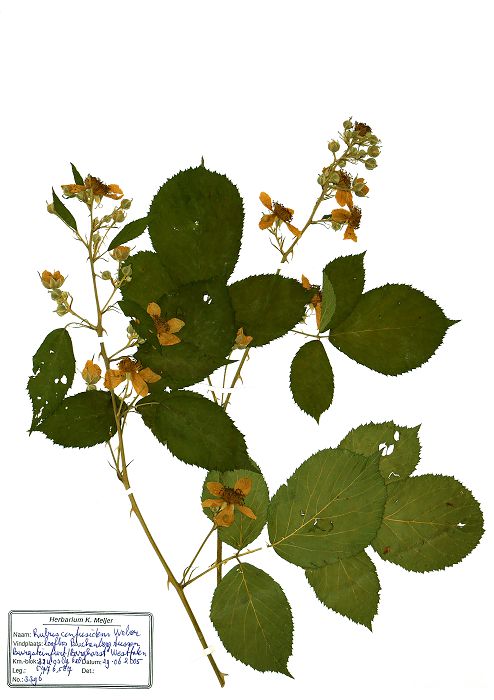 Bild3