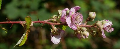 Bild14
