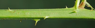 Bild12
