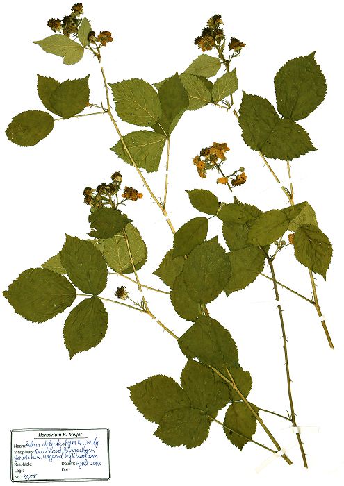 Bild3