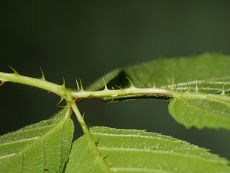 Bild5