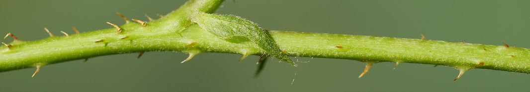 Bild3