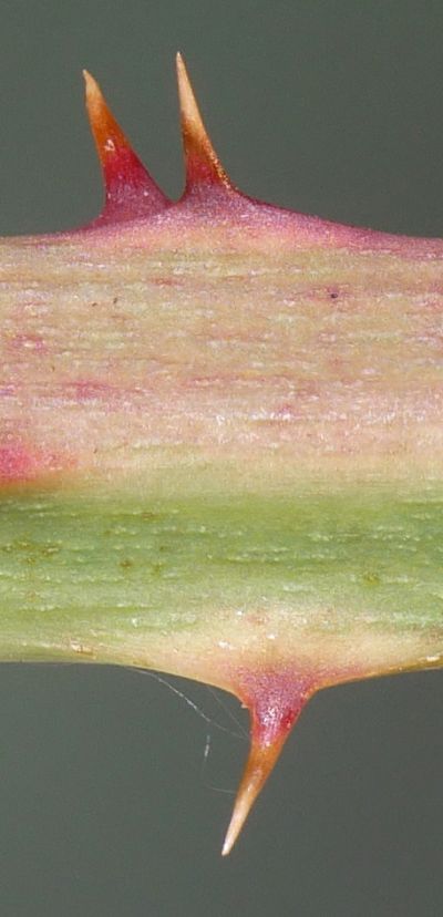 Bild12