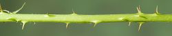 Bild2
