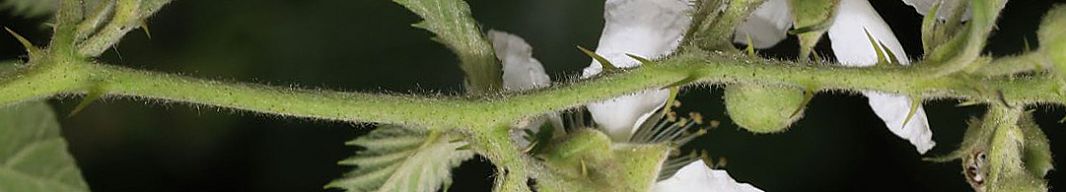 Bild3