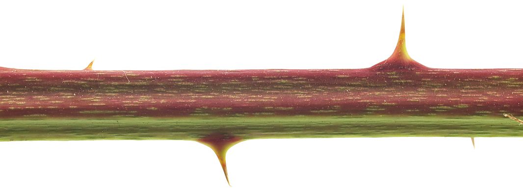 Bild3