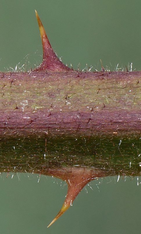 Bild3