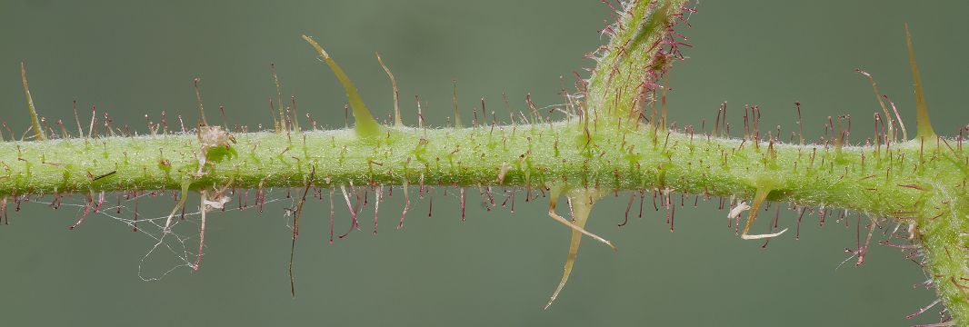 Bild3