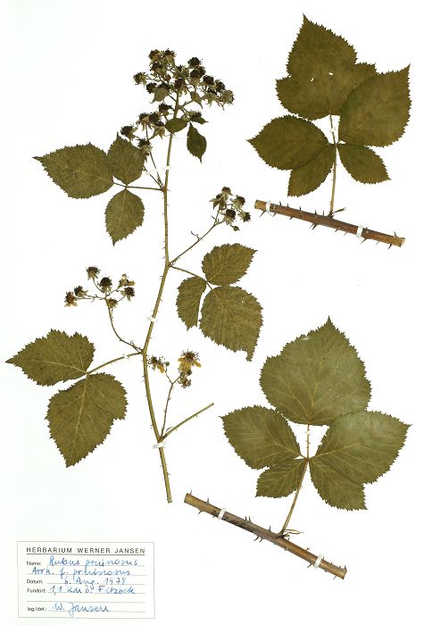 Bild3