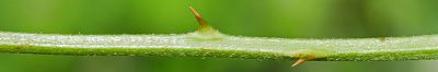 Bild16