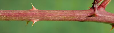 Bild12