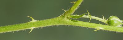 Bild16