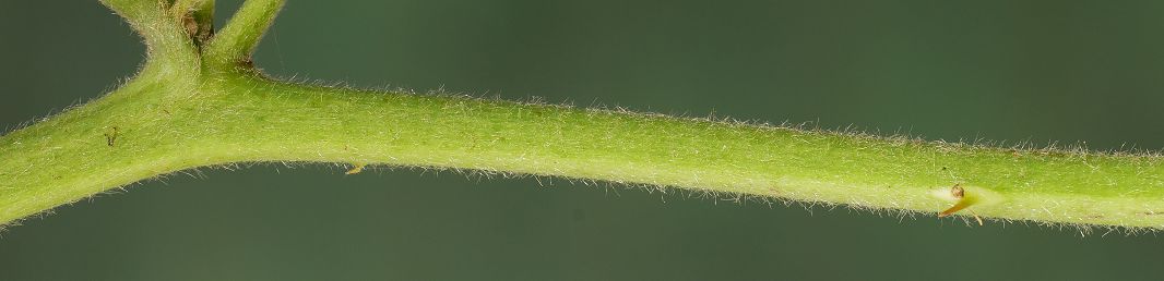 Bild3
