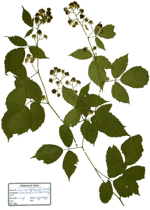 Bild3