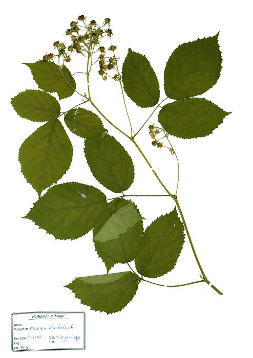 Bild3