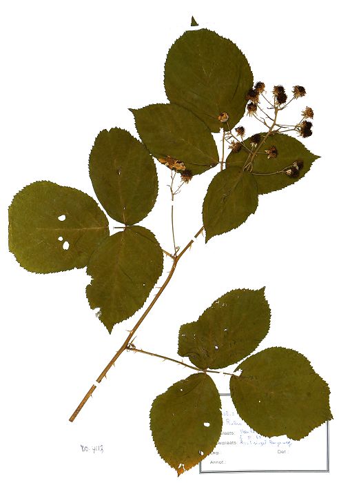 Bild3