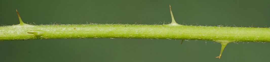 Bild3
