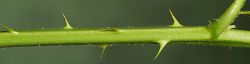 Bild2