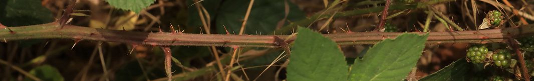 Bild3