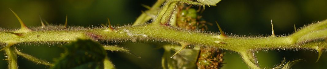 Bild3