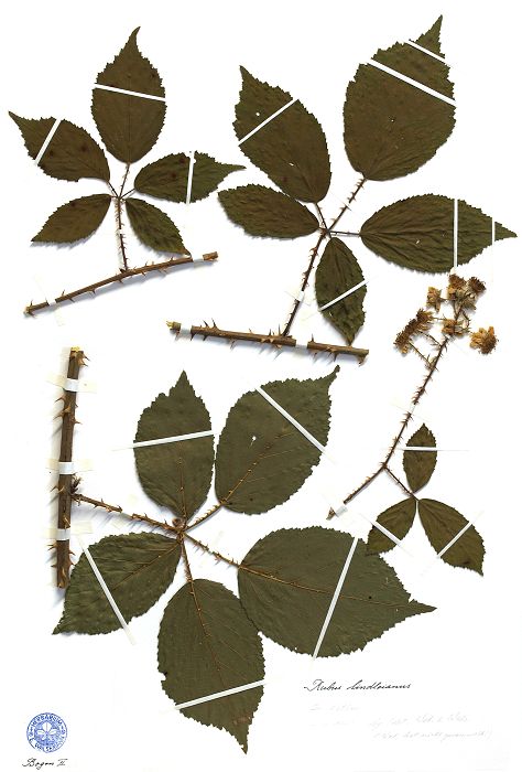 Bild3