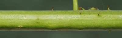 Bild12