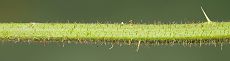 Bild16