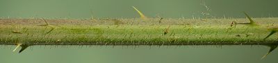 Bild12