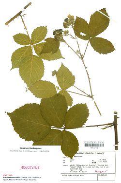 Bild2