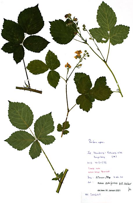 Bild3