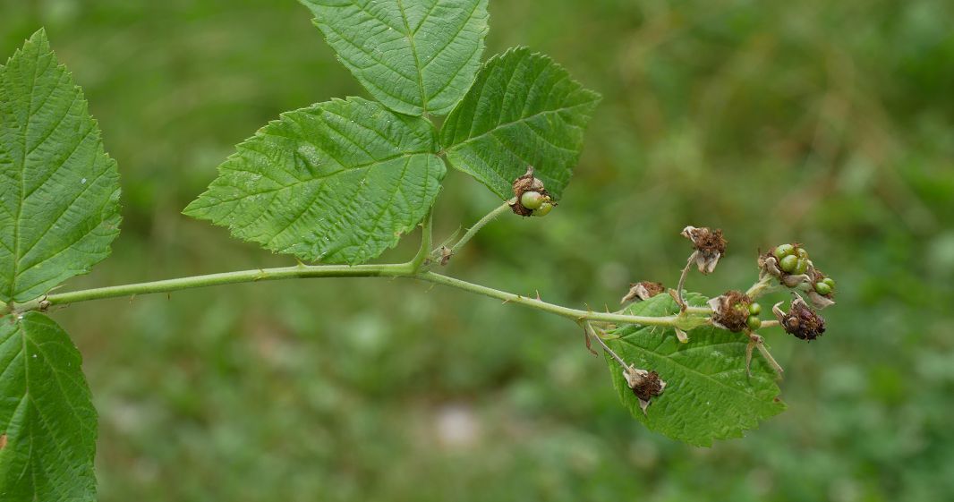 Bild3