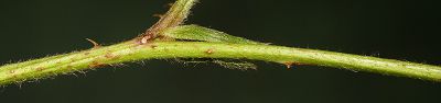 Bild16