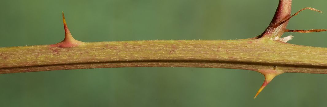 Bild3
