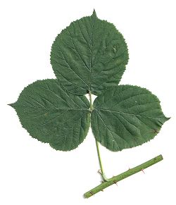 Bild2