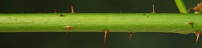 Bild12