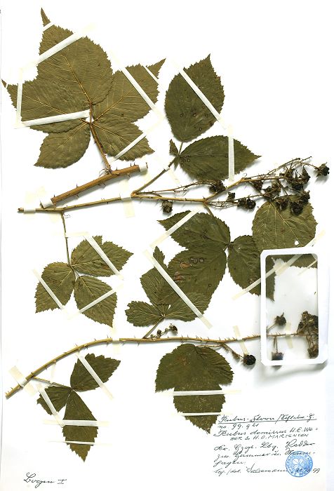 Bild3