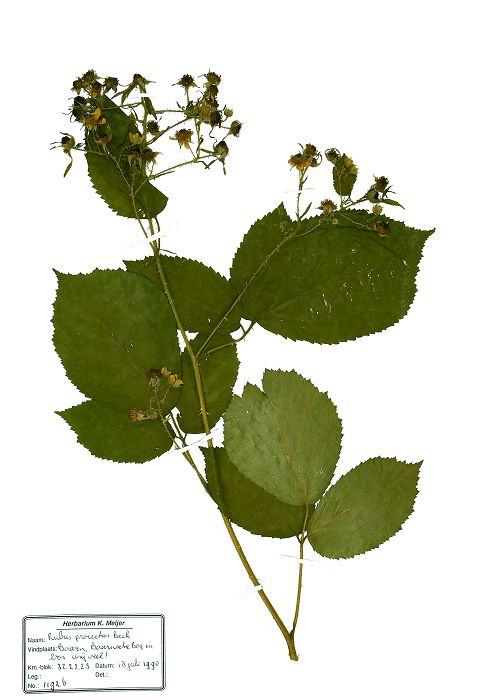 Bild3