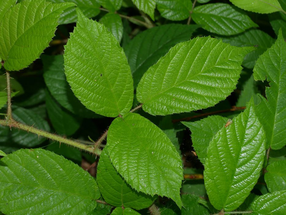 Bild3