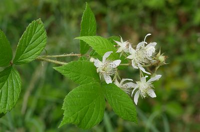 Bild12