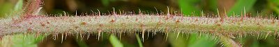 Bild12