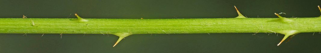 Bild3