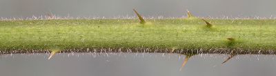 Bild12